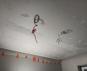 Vidaus apdailos darbai / Algisriklis Alplytel / Darbų pavyzdys ID 4486424