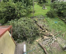 Aplinka, sodas - Avarinių medžių pjovimas, Medžių genėjimas, Žolės pjovimas - 2