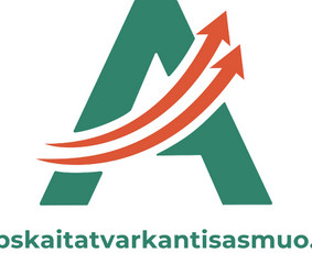 Buhalterinės apskaitos paslaugos - Profesionali apskaita - 3