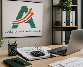 Buhalterinės apskaitos paslaugos - Profesionali apskaita - 2