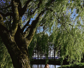 Nė&scaron;čiosios fotosesija - &Scaron;eimų, porų, laukimo bei &scaron;venčių fotografija - 1