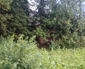 Skalda, smėlis, žvyras, juodžemis - Dovanoju, bet reikia patiems nusigriauti. - 3