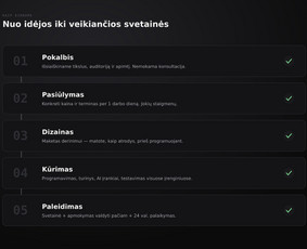 Interneto svetainių kūrimas - Svetainių kūrimas su Ai sprendimais  ai&scaron;ki kaina - 2