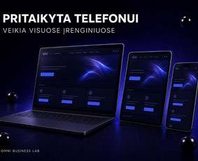 Interneto svetainių kūrimas - Svetainių kūrimas su Ai sprendimais, ai&scaron;ki kaina - 3