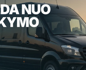 Programuotojai - Tinklapių kūrimas, priežiūra, programavimas - 2