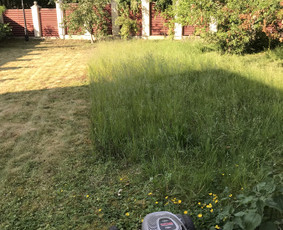 Aukštos, apleistos (apleistų sklypų) žolės pjovimas trimeriu / Rytis / Darbų pavyzdys ID 4490322