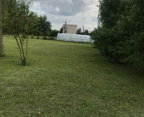 Aukštos, apleistos (apleistų sklypų) žolės pjovimas trimeriu / Rytis / Darbų pavyzdys ID 4490336