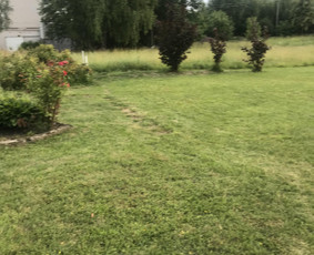 Aukštos, apleistos (apleistų sklypų) žolės pjovimas trimeriu / Rytis / Darbų pavyzdys ID 4490340
