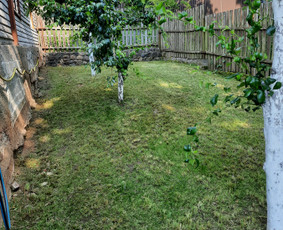 Aukštos, apleistos (apleistų sklypų) žolės pjovimas trimeriu / Rytis / Darbų pavyzdys ID 4490350