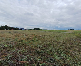 Aukštos, apleistos (apleistų sklypų) žolės pjovimas trimeriu / Rytis / Darbų pavyzdys ID 4490360