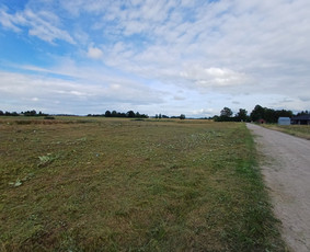 Aukštos, apleistos (apleistų sklypų) žolės pjovimas trimeriu / Rytis / Darbų pavyzdys ID 4490362