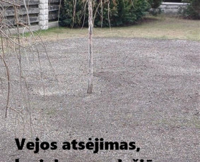 Aukštos, apleistos (apleistų sklypų) žolės pjovimas trimeriu / Rytis / Darbų pavyzdys ID 4490368