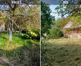 Aukštos, apleistos (apleistų sklypų) žolės pjovimas trimeriu / Rytis / Darbų pavyzdys ID 4490390