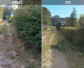 Aukštos ar apleistų sklypų žolės pjovimas Gyvatvorių karpym. / Rytis / Darbų pavyzdys ID 4490392