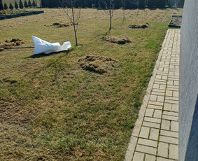 Vejos aeravimas - Auk&scaron;tos, apleistos (apleistų sklypų) žolės pjovimas trimeriu - 4
