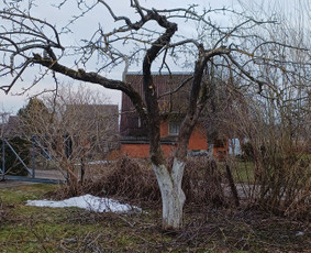 Apleistų sklypų tvarkymas - Auk&scaron;tos, apleistos (apleistų sklypų) žolės pjovimas trimeriu - 1