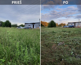 Pievų &scaron;ienavimas - Auk&scaron;tos, apleistos (apleistų sklypų) žolės pjovimas trimeriu - 4
