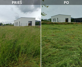 Vejos priežiūra, įrengimas - Auk&scaron;tos, apleistos (apleistų sklypų) žolės pjovimas trimeriu - 4