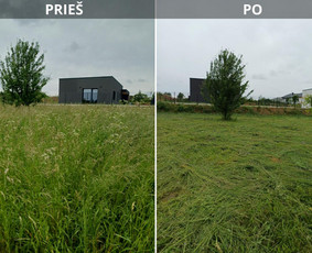 Vejos priežiūra, įrengimas - Auk&scaron;tos, apleistos (apleistų sklypų) žolės pjovimas trimeriu - 3