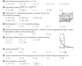 Matematikos korepetitoriai - Matematikos pamokos 1-12 klasė. Mokytoja. - 1