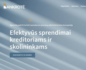 Svetainių dizainas (web design) - Interneto svetainių ir landing page kūrimas - 4