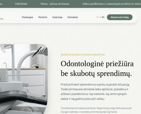 Svetainių dizainas (web design) - Interneto svetainių ir landing page kūrimas - 1
