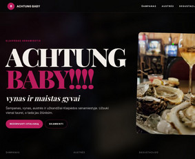 Interneto svetainių kūrimas - Interneto svetainių ir landing page kūrimas - 2