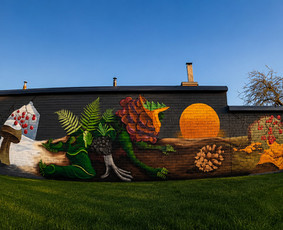 Grafiti pie&scaron;imas - Vaikų kambarių sienų pie&scaron;iniai ir individuali sienų tapyba - 1