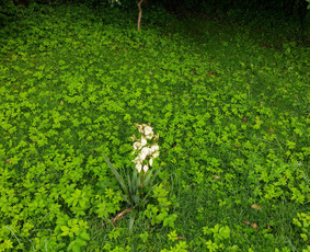 Sveikata, gydymas - Mokyklos psichologė / Школьный психолог - 3