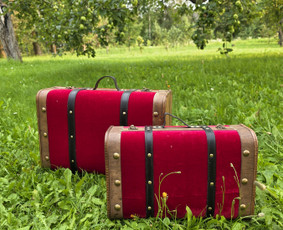 Švenčių Dekoravimas, Floristika, Fotozonų Įrengimas / Dinci Deco / Darbų pavyzdys ID 4491322