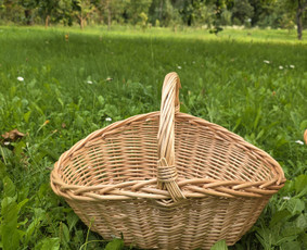 Švenčių Dekoravimas, Floristika, Fotozonų Įrengimas / Dinci Deco / Darbų pavyzdys ID 4491336