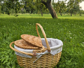 Švenčių Dekoravimas, Floristika, Fotozonų Įrengimas / Dinci Deco / Darbų pavyzdys ID 4491338