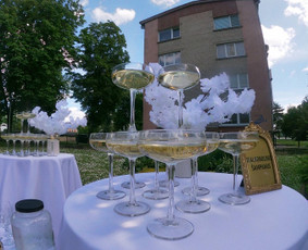 Vestuvių, &scaron;venčių dekoravimas - &Scaron;venčių dekoravimas, floristika, bažnyčios dekoravimas, &scaron;amp - 3