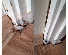 Namų,butų ir langų valymas / Gintarė / Darbų pavyzdys ID 4491806
