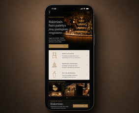 Mobiliųjų WEB aplikacijų kūrimas - Mobiliųjų Aplikacijų Kūrimas (Android, iOS ir Web) - 3
