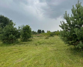Žolės pjovimas / mulčiavimas/apleistų sklypų priežiūra / projectSDT / Darbų pavyzdys ID 4492604
