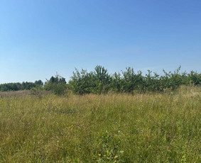 Žolės pjovimas / mulčiavimas/apleistų sklypų priežiūra / projectSDT / Darbų pavyzdys ID 4492608