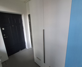 Spintų ir korpusinių baldų gamyba / Rankenėlė / Darbų pavyzdys ID 4493708