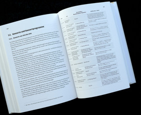 Leidinių dizainas / Vykintas Characiejus / Darbų pavyzdys ID 4494635