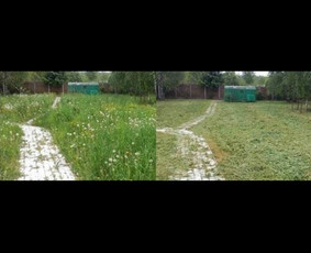 Aplinkos tvarkymas, apželdinimas - Žolės pjovimo paslaugos Vilniuje - 3