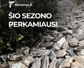 Reklamos paslaugos - Publicite reklamos agentūra - 3