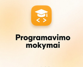 Programavimo mokymas - Verslo procesų skaitmenizavimas ir individualios sistemos - 1