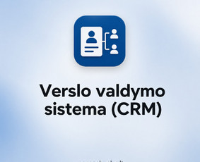 Programuotojai - Verslo procesų skaitmenizavimas ir individualios sistemos - 4