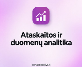 Programuotojai - Verslo procesų skaitmenizavimas ir individualios sistemos - 3