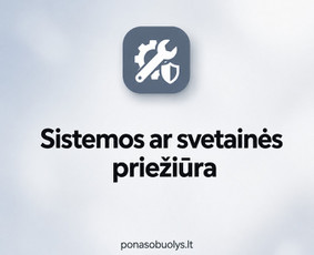 Programuotojai - Verslo procesų skaitmenizavimas ir individualios sistemos - 2
