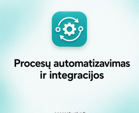 Programuotojai - Verslo procesų skaitmenizavimas ir individualios sistemos - 1