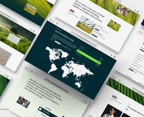 Svetainių dizainas (web design) - Logotipai, firminis identitetas ir ux/ui dizainas verslui - 3