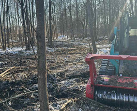 Statybinės technikos nuoma - Bobcat nuoma, žemės darbai. - 3