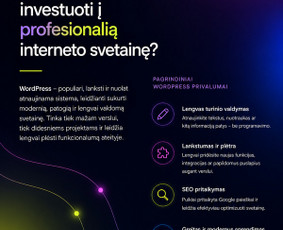 Interneto svetainių kūrimas I Wordpress I Elementor I Seo / RainbowCode / Darbų pavyzdys ID 4498959