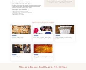 SEO paslaugos - Interneto svetainių kūrimas  Wordpress  Elementor  Seo - 1